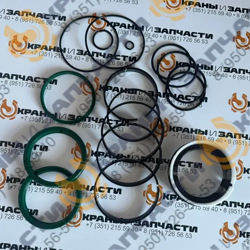 Ремкомплект РК-КС55713-125.100/2а-ГП гидроцилиндра опоры (вывешивания) КС-55713 до 2019 автокрана Галичанин, Клинцы