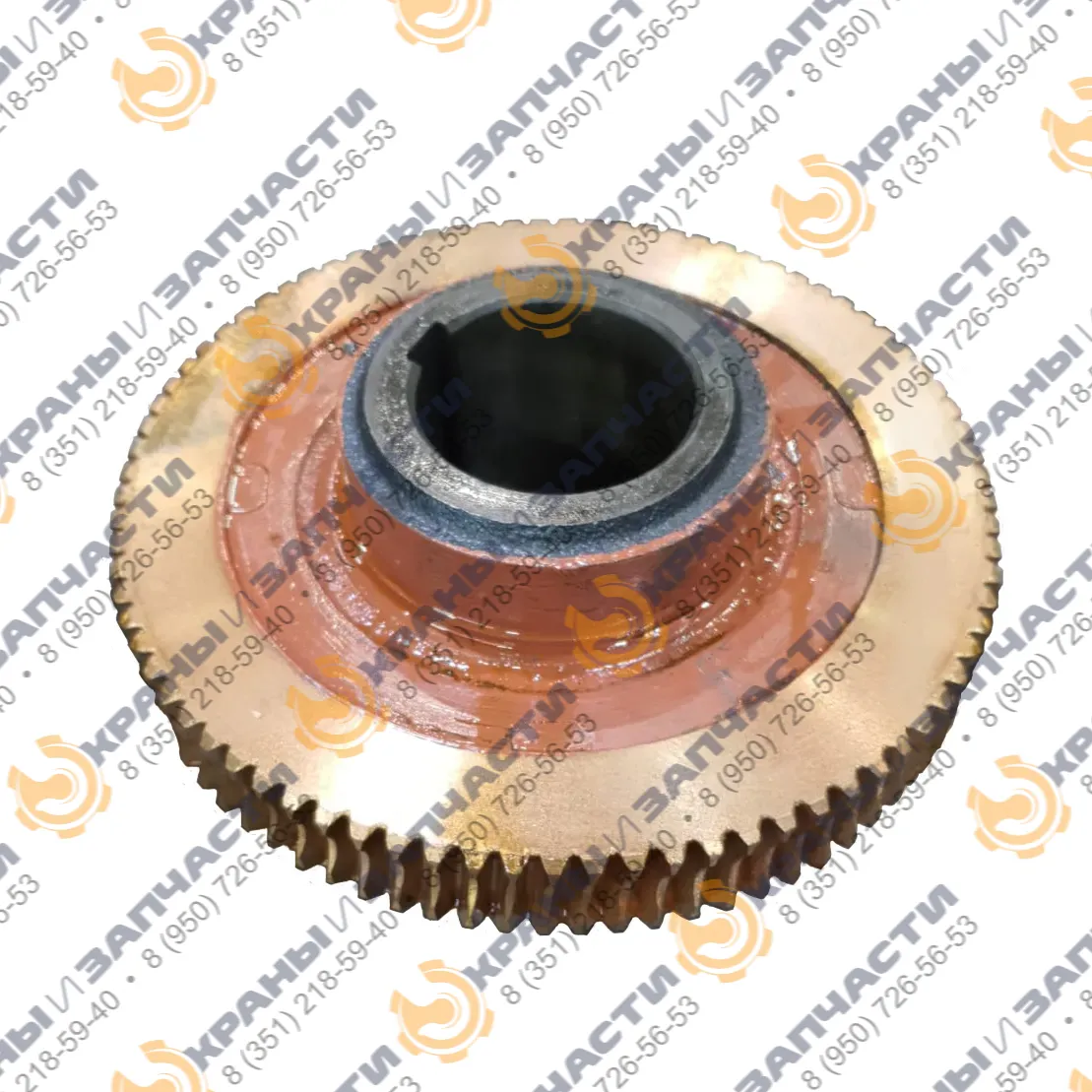 Червячное колесо для 5Ч-125 (80-51)