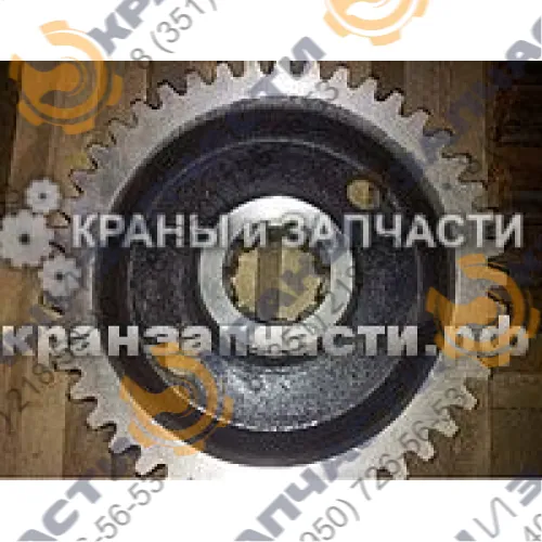 Колесо зубчатое 25.02.24.006 крана гусеничного ДЭК-251