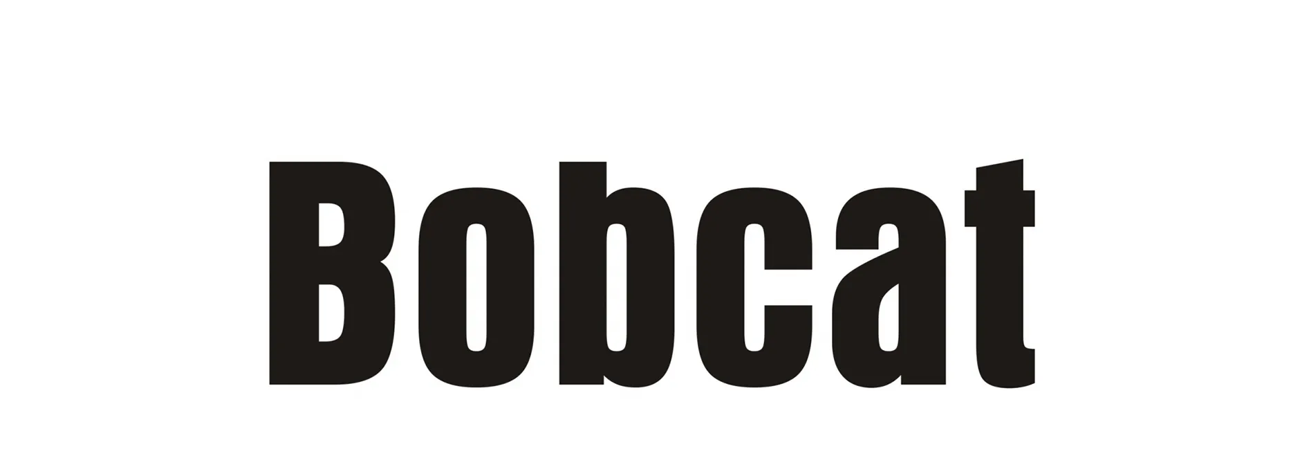 Стекла для погрузчика телескопического Bobcat