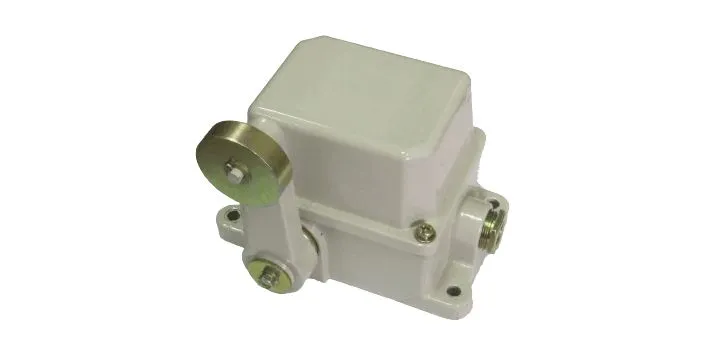  Выключатель конечный концевой ПП