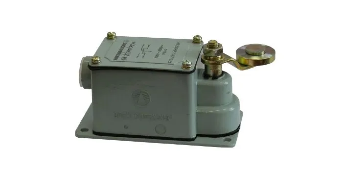 Выключатель конечный концевой ВП